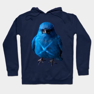 Blue Bird X Hoodie